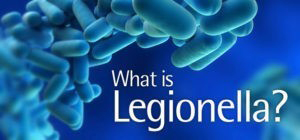 Legionella1