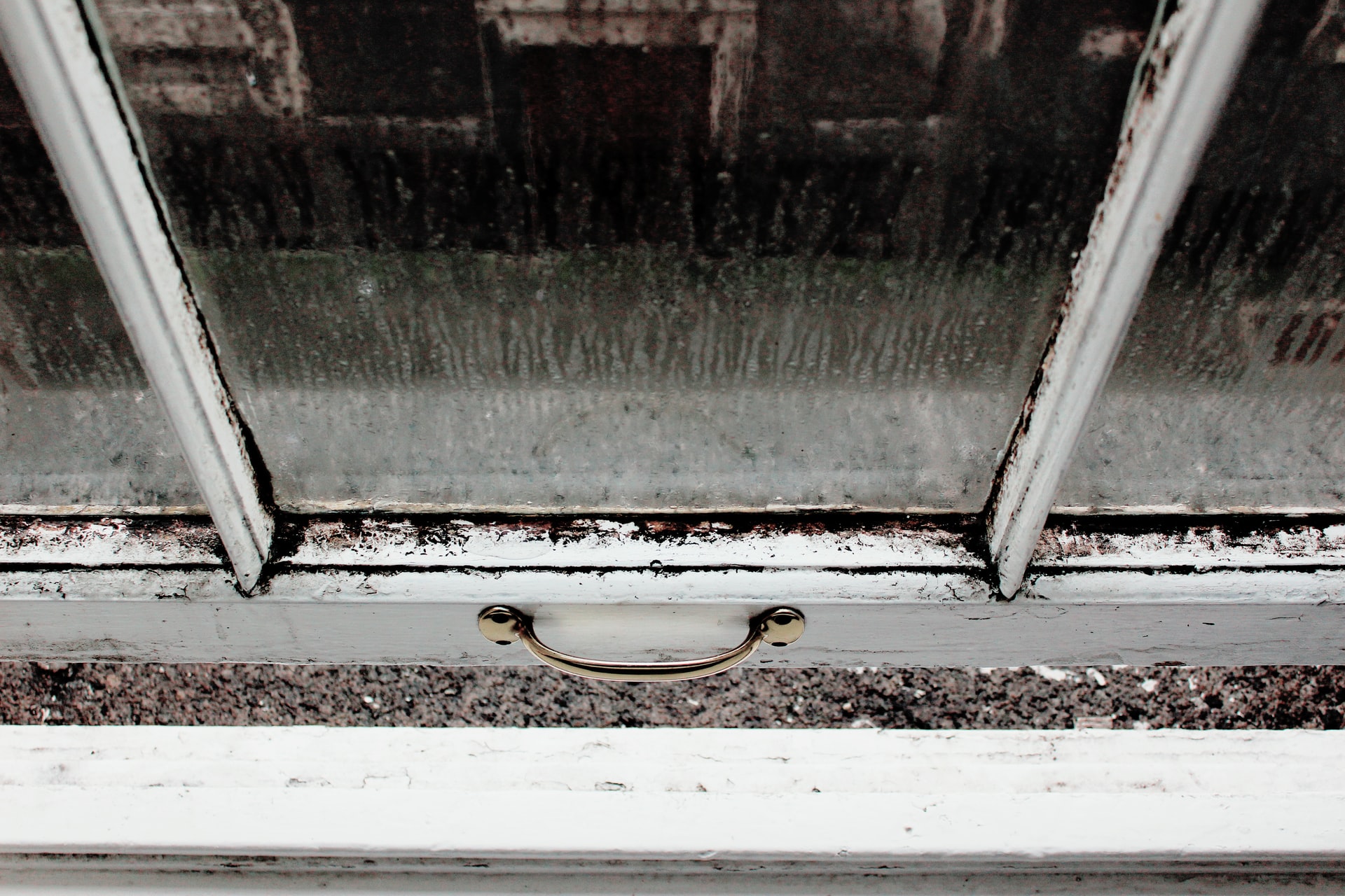 0102 mouldy window
