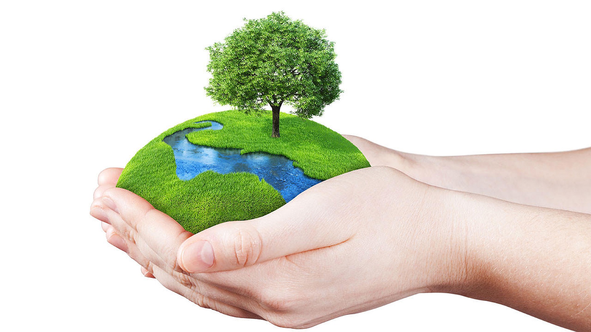 2304 Earth Day Hands