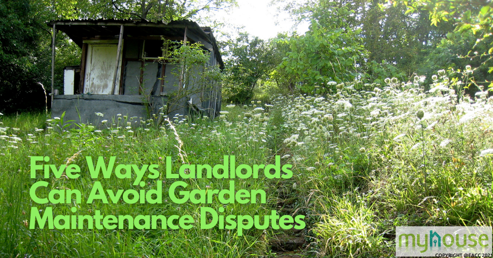2806 myhouse 1000 x 524 Five Ways Landlords Can Avoid Garden Maintenance Disputes