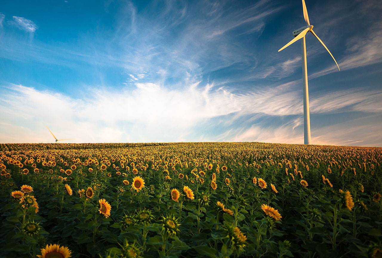 Low-Carbon Living