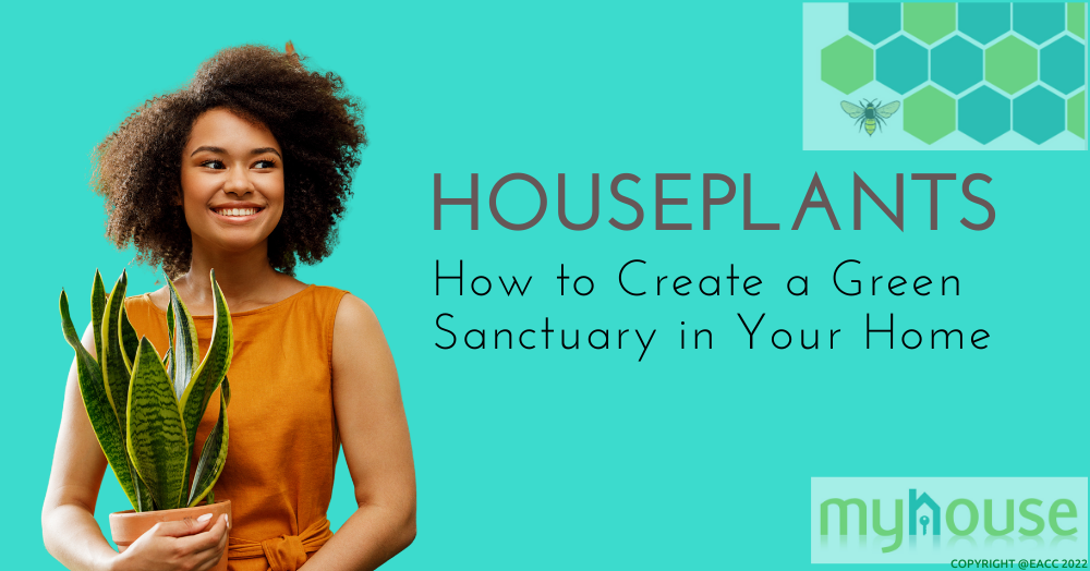 Copy of 140122 Houseplants How to Create a Green Sanctuary in Your Home