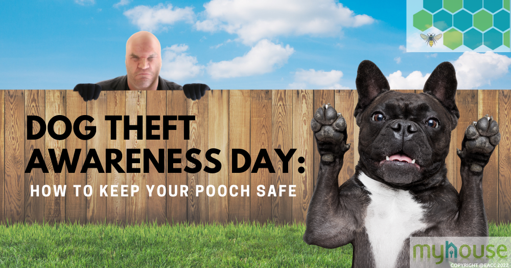 Dog Theft Awareness Day How to Keep Your Pooch Safe
