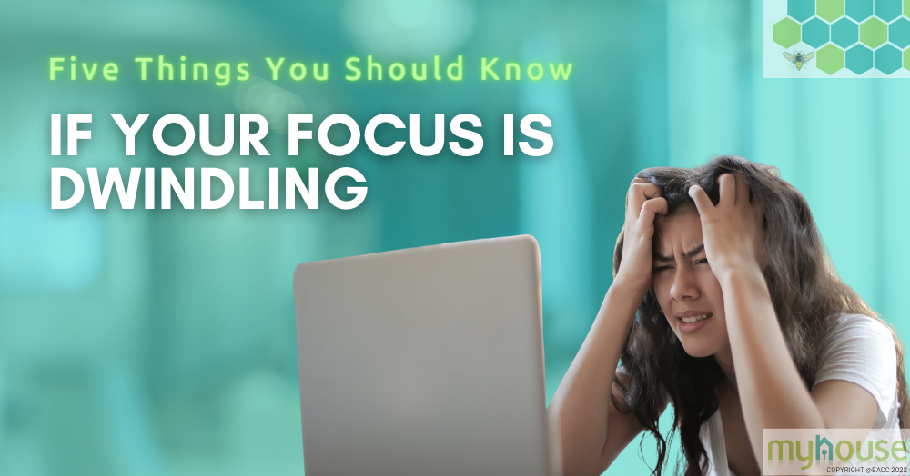Five Things You Should Know If Your Focus is Dwindling