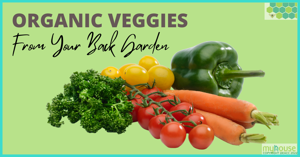 Copy of 230922 Organic Veggies from Your Back Garden