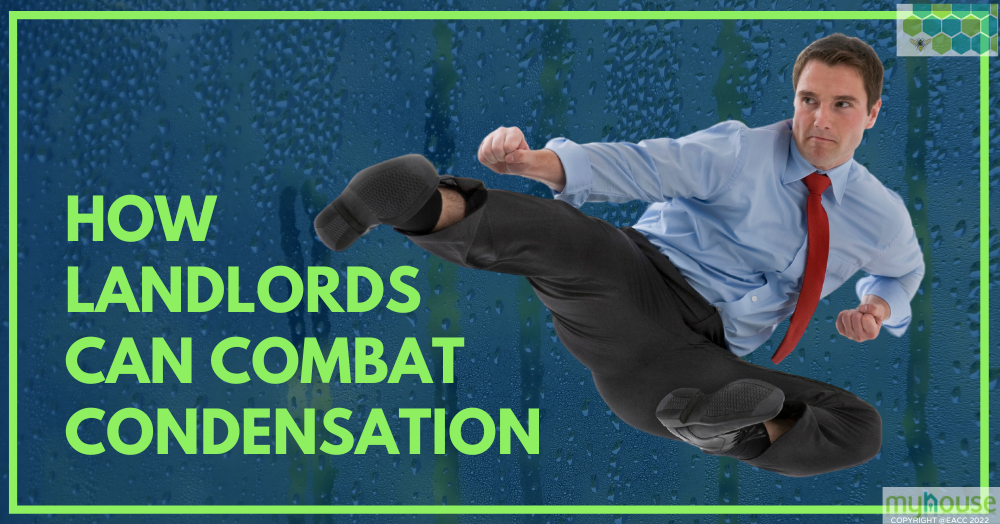Copy of 101022 How Landlords Can Combat Condensation