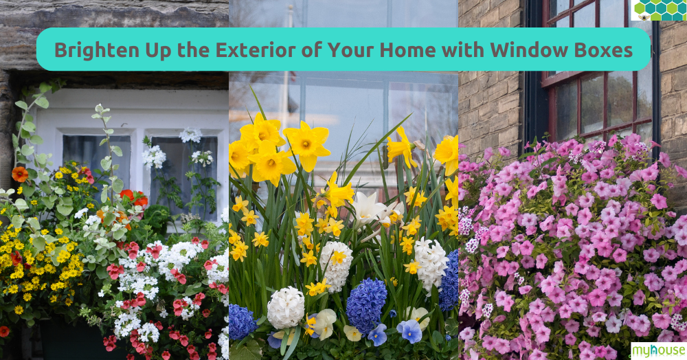Copy of 020623 Brighten Up the Exterior of Your Home with Window Boxes
