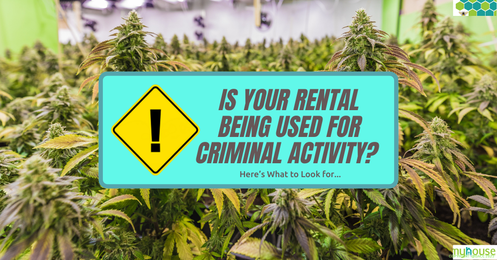 Copy of 161023 Is Your Rental Being Used for Criminal Activity Here’s What to Look for