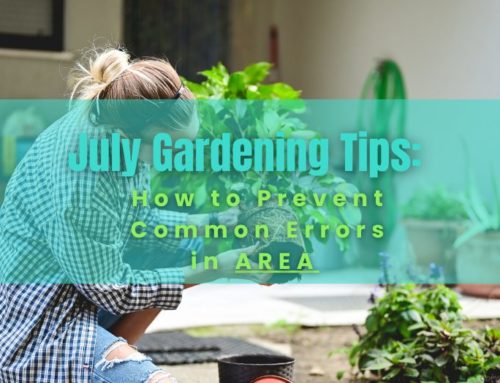 Manchester Gardeners: Five Mistakes to Avoid in Your Summer Garden