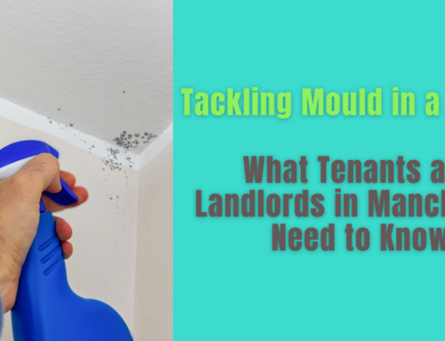 Mould Prevention: Why Tenants and Landlords in Manchester Need to Work Together