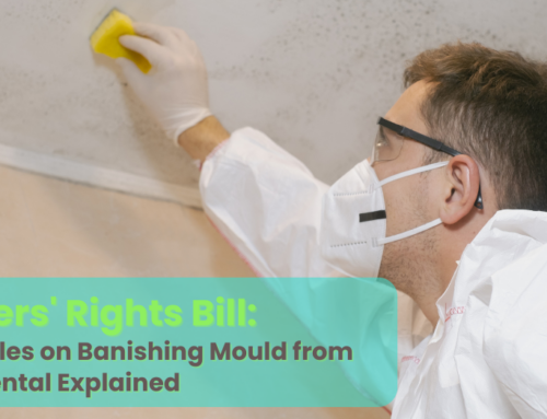 Renters’ Rights Bill: What Manchester Landlords Need to Know About Addressing Mould 